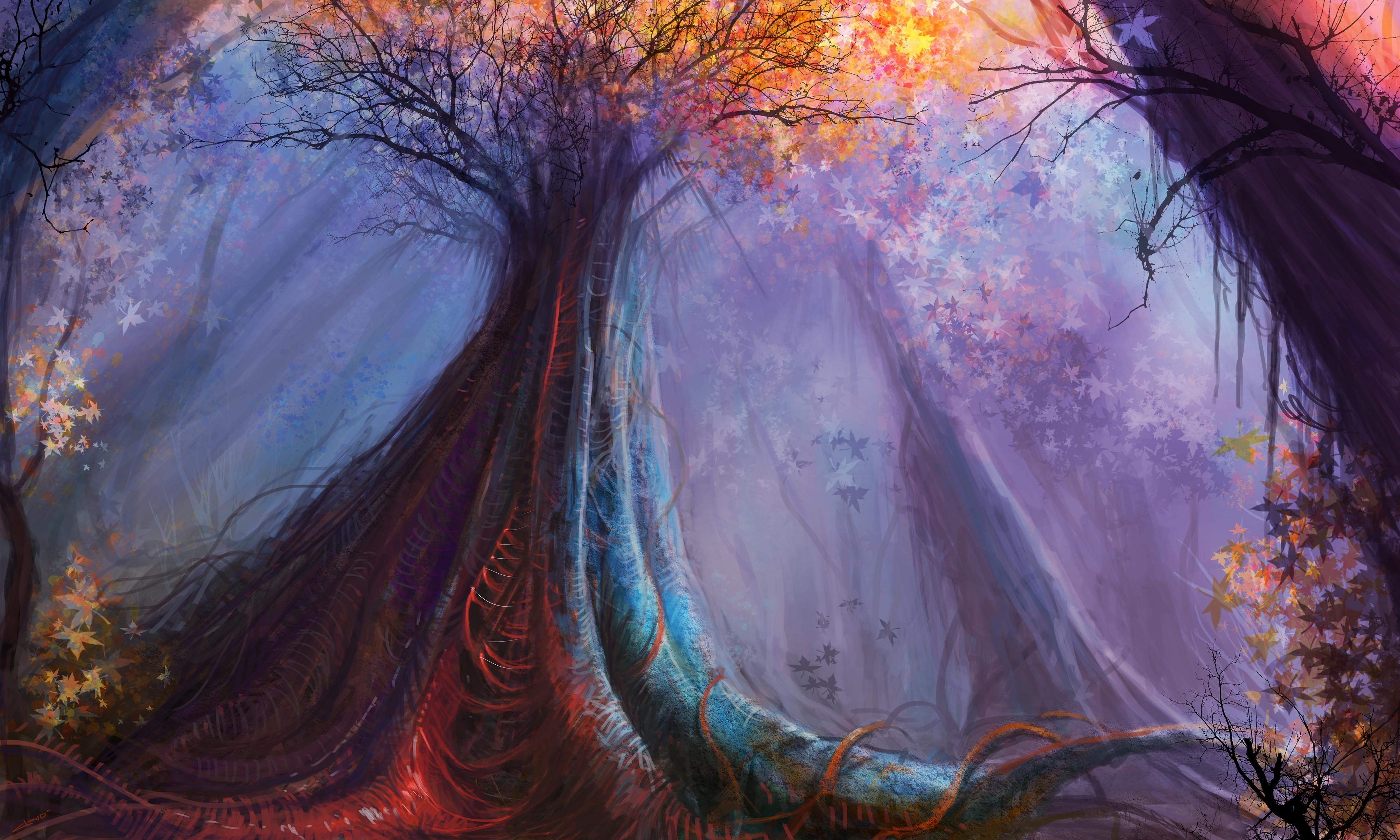 Forest Fantasy, HD Digital Universe, 4k Wallpapers, Images, Backgrounds