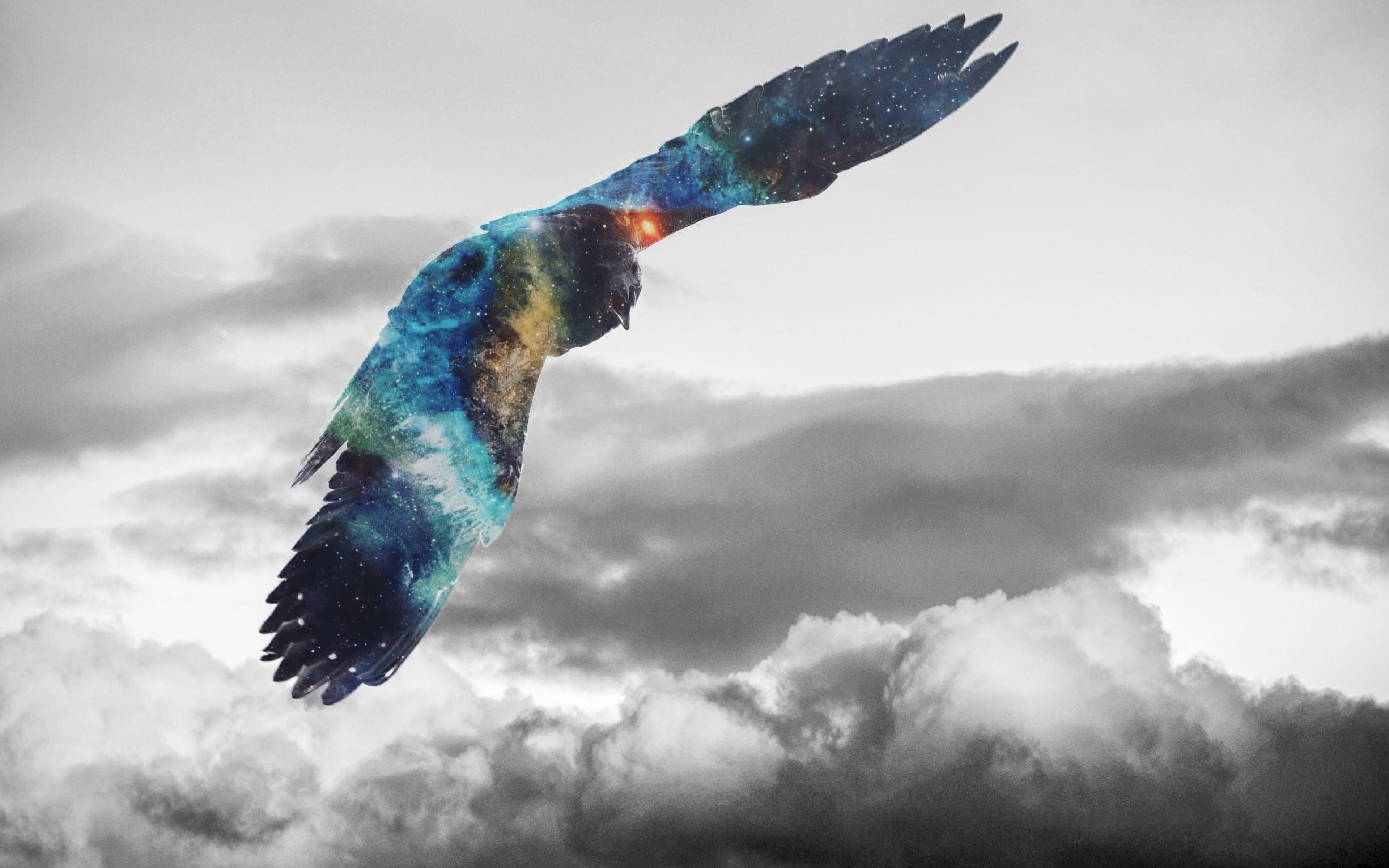 1920x1080 Golden Eagle Flying Galaxy Photoshop Laptop Full