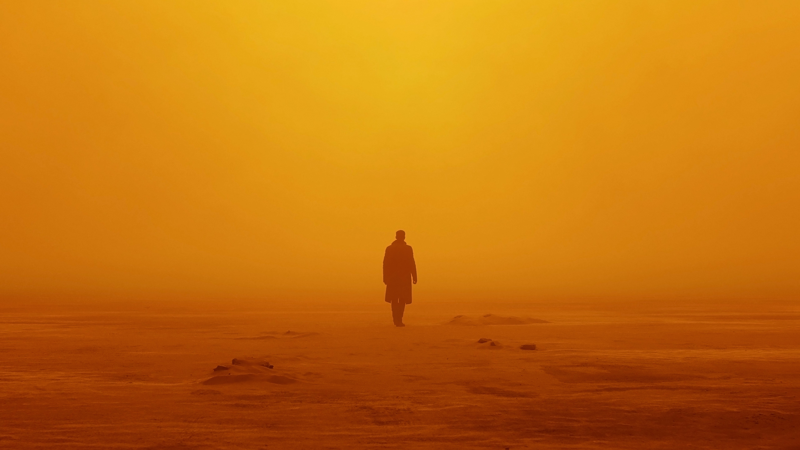 Hd Blade Runner 2049, HD Movies, 4k Wallpapers, Images, Backgrounds