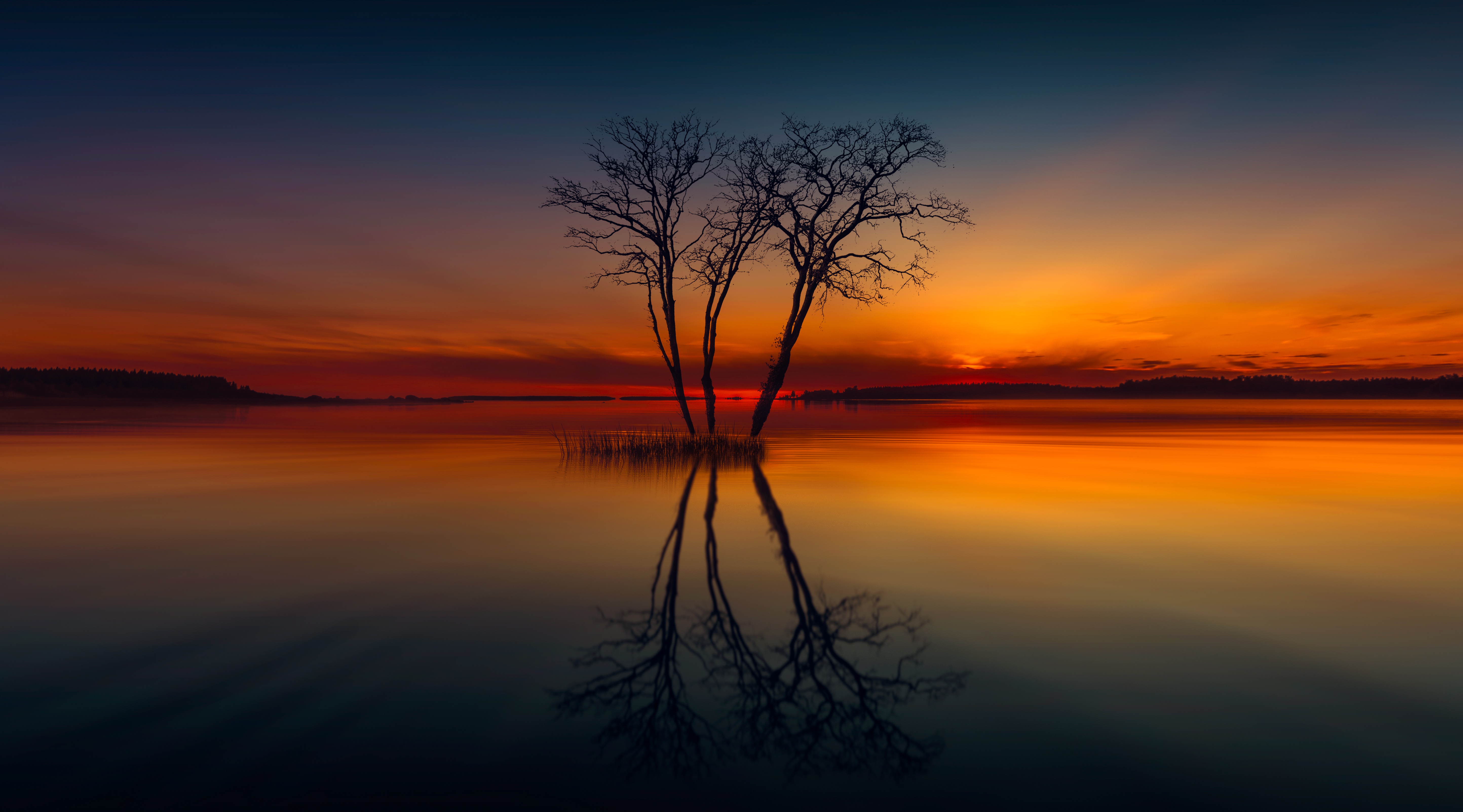 Horizon Lake Nature Reflection Sunset Tree, HD Nature, 4k Wallpapers