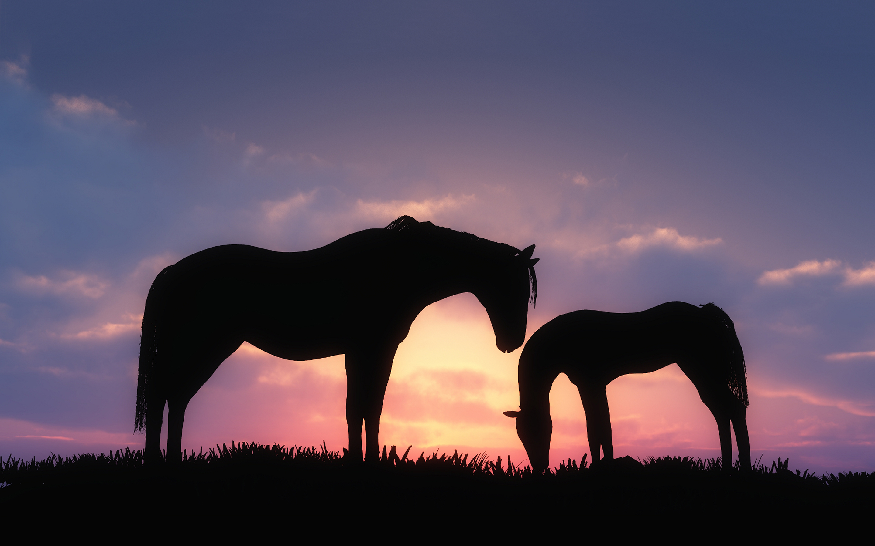 Horses Sunset, HD Nature, 4k Wallpapers, Images, Backgrounds, Photos