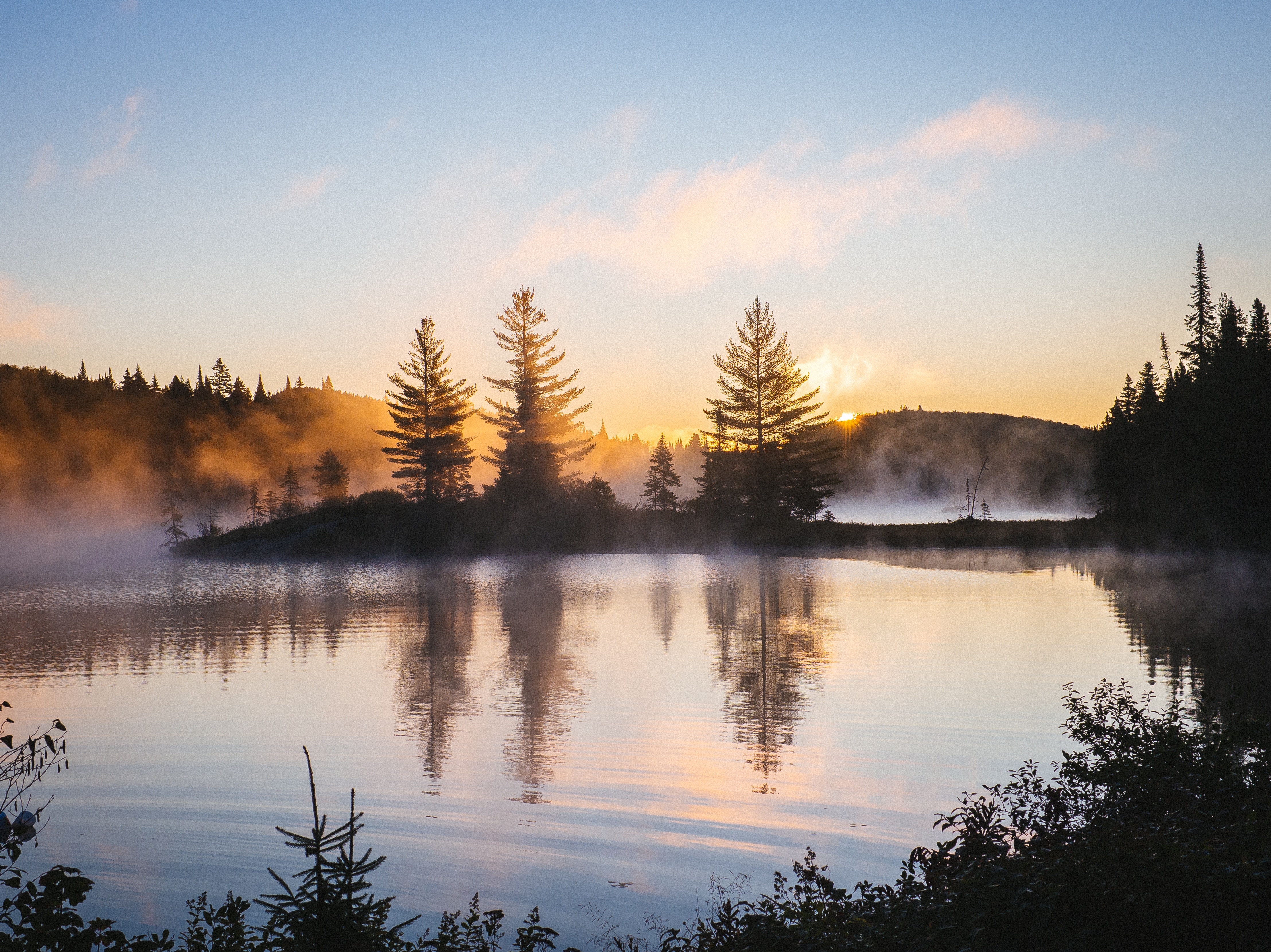 1920x1080 Lake Reflection Morning Mist Trees Nature Hd 4k ...