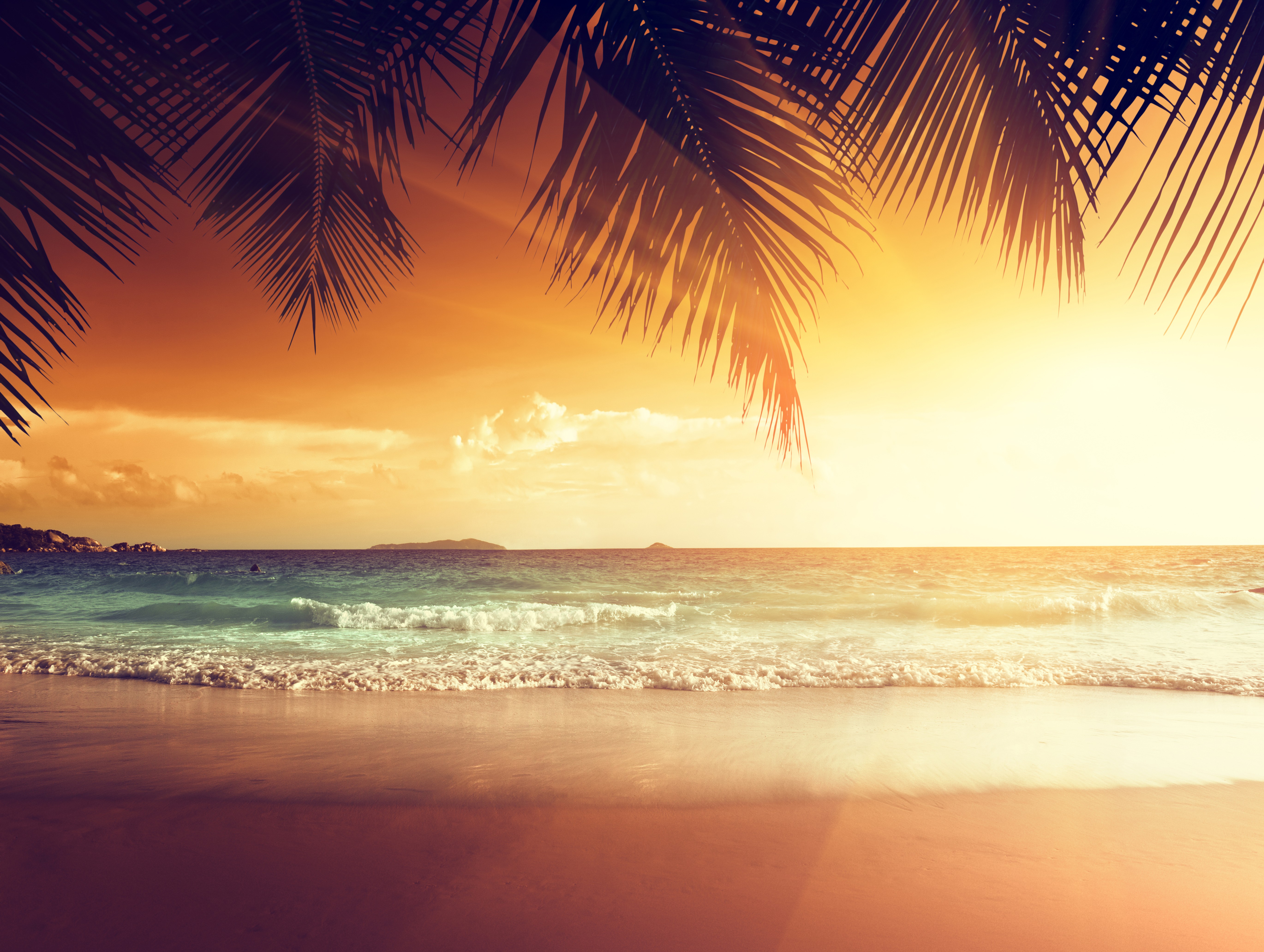 2160x3840 Landscape Beach Tropical Sun Sony Xperia X,XZ,Z5 Premium HD