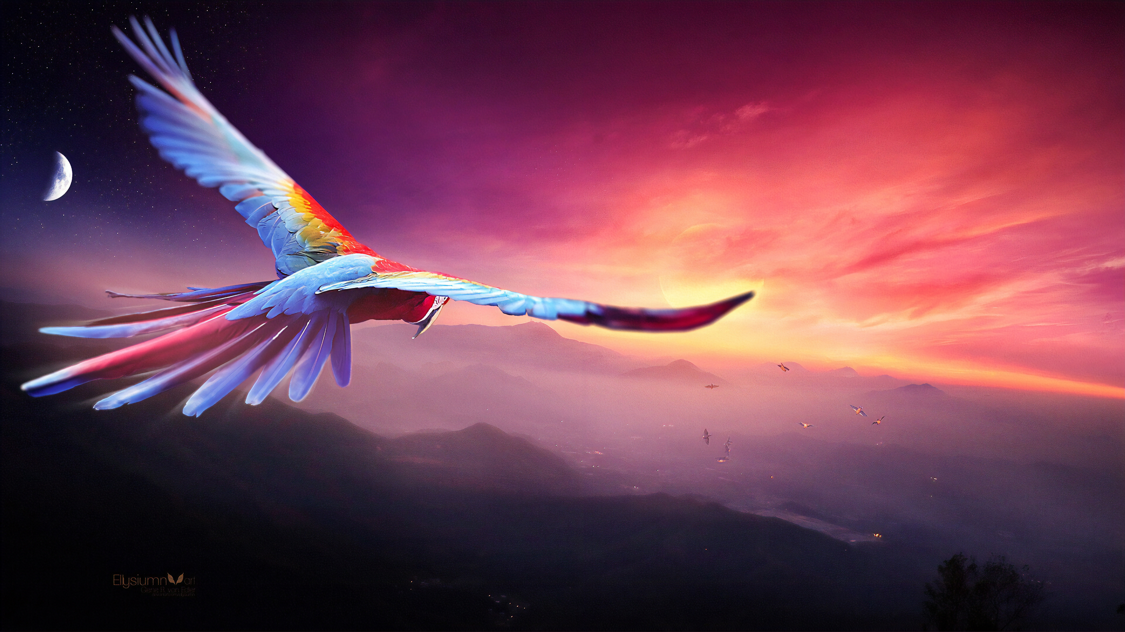 Macaw Flight Digital  Art 4k  HD Birds 4k  Wallpapers  