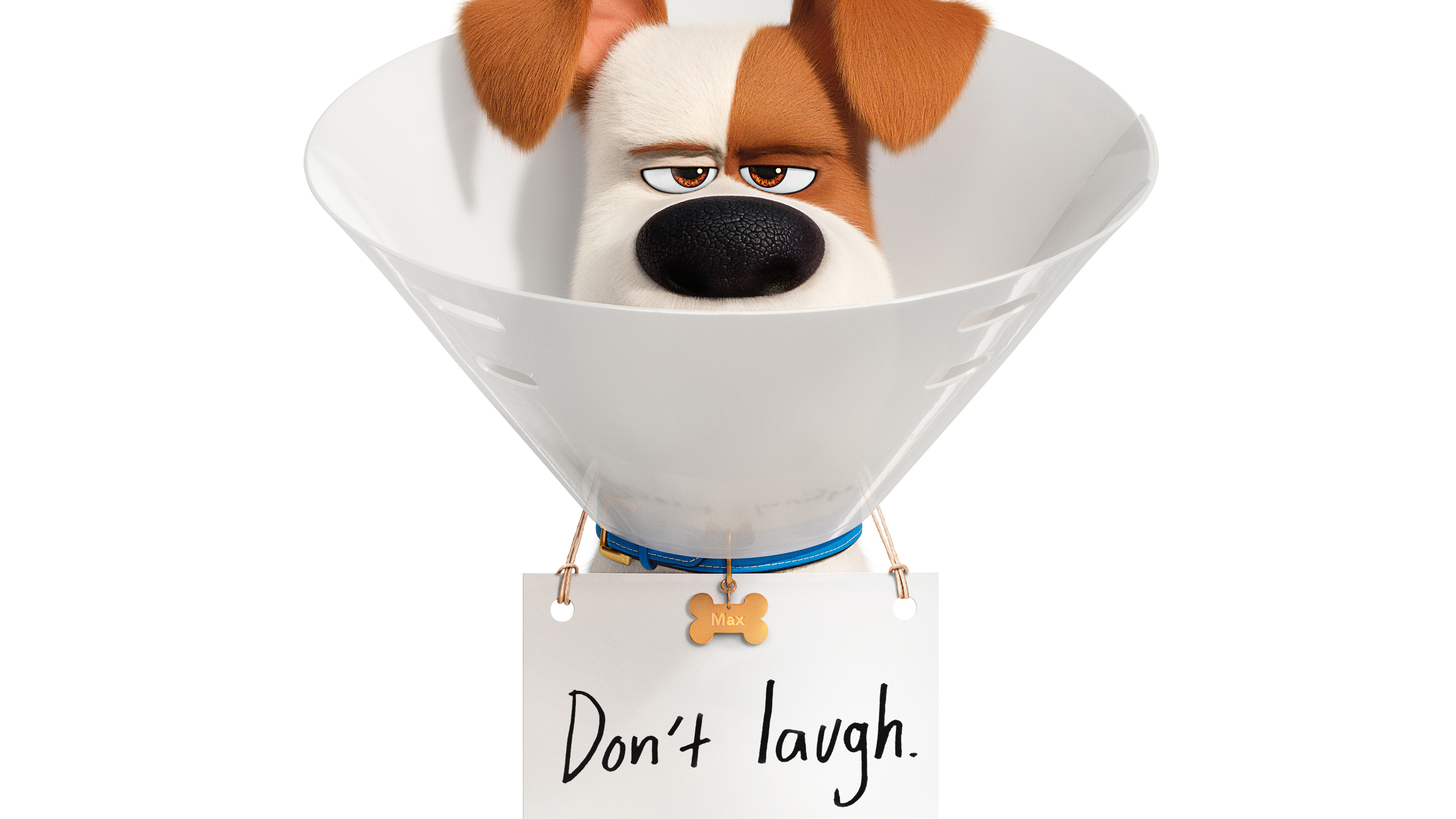 instal the new version for ios The Secret Life of Pets
