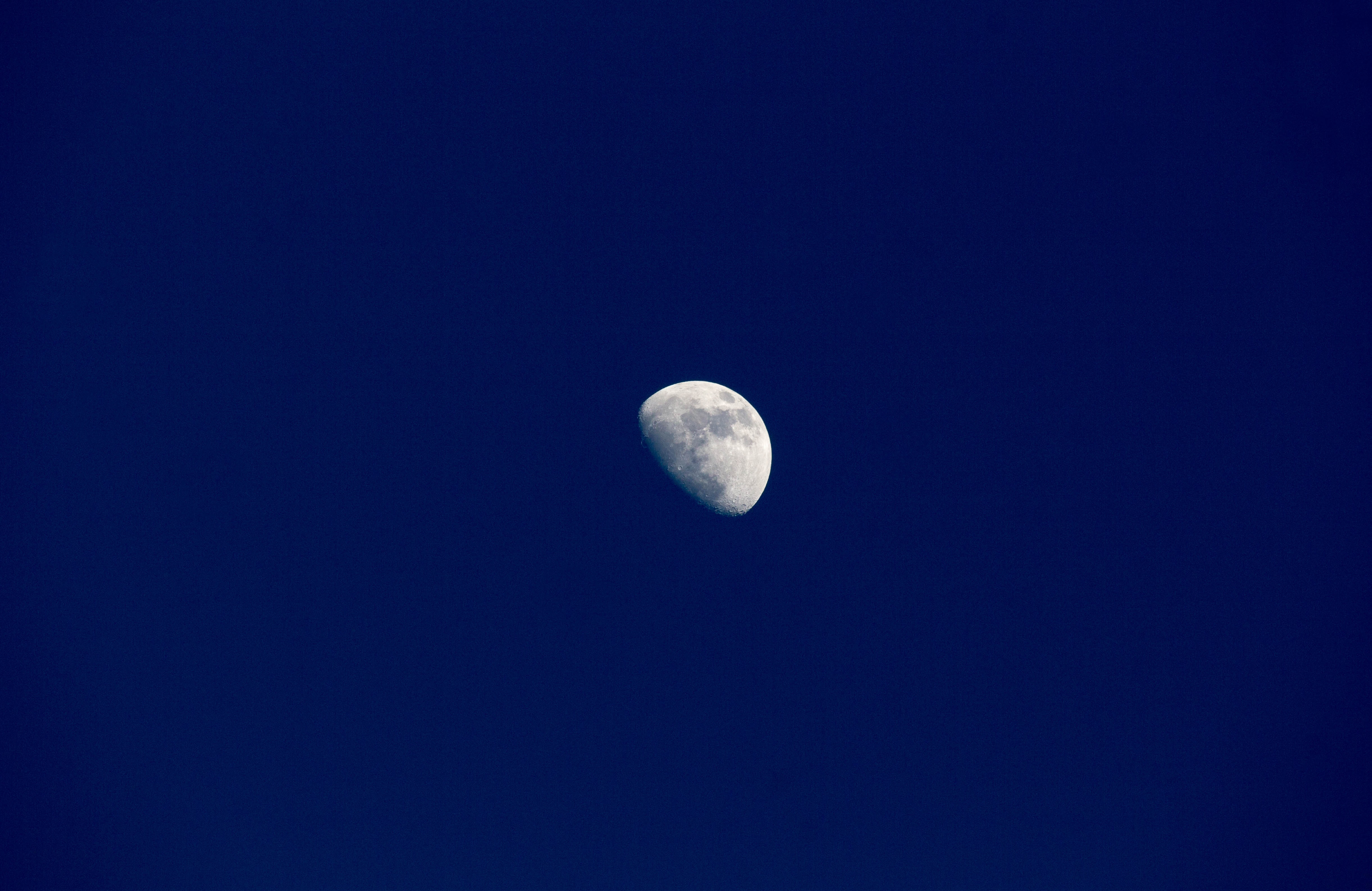 Moon org. Синяя Луна. Луна фото. Лунное небо. Луна HD 4k.