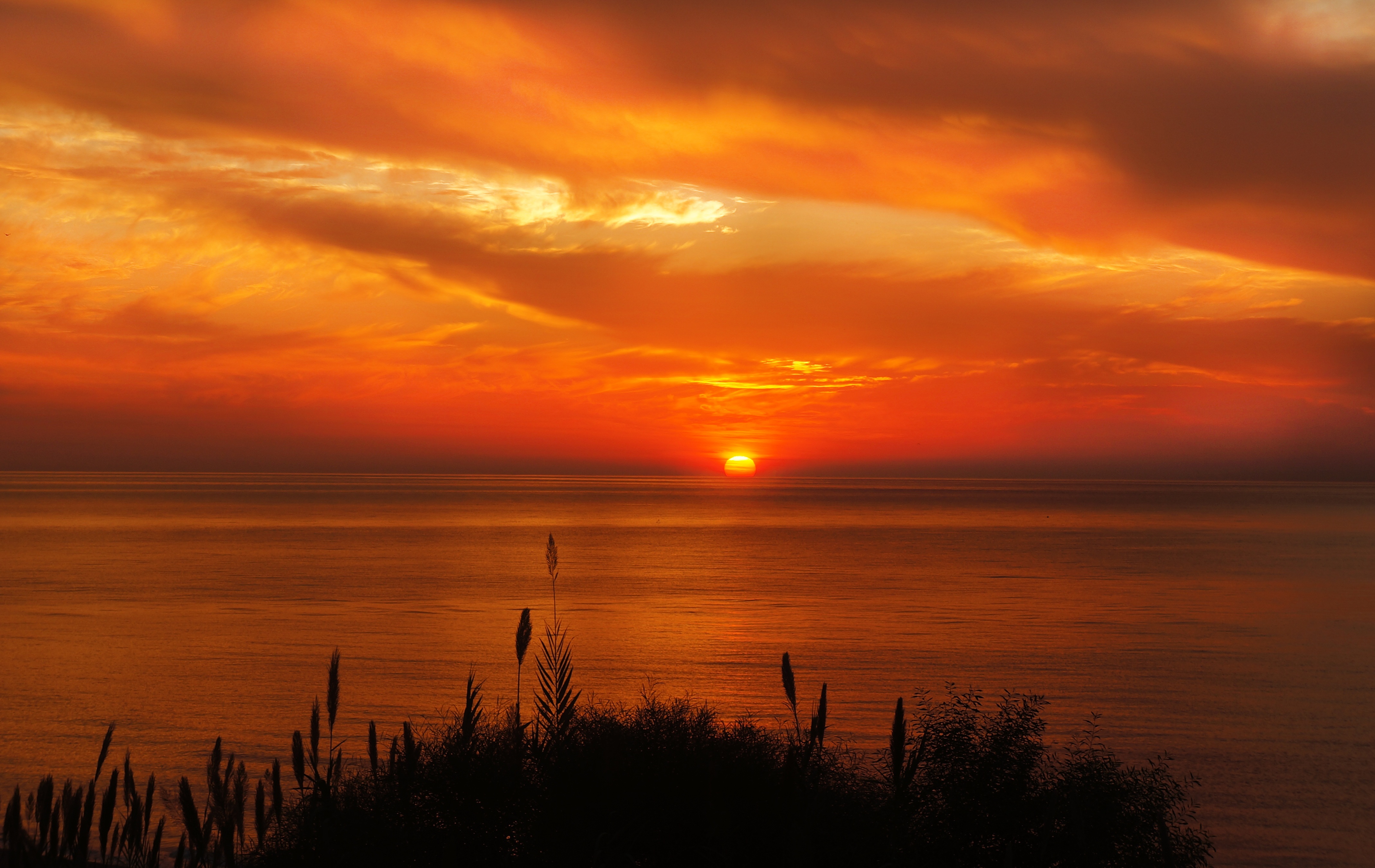 Ocean Landscape Sunrising Morning 4K, Hd Nature, 4K Wallpapers, Images