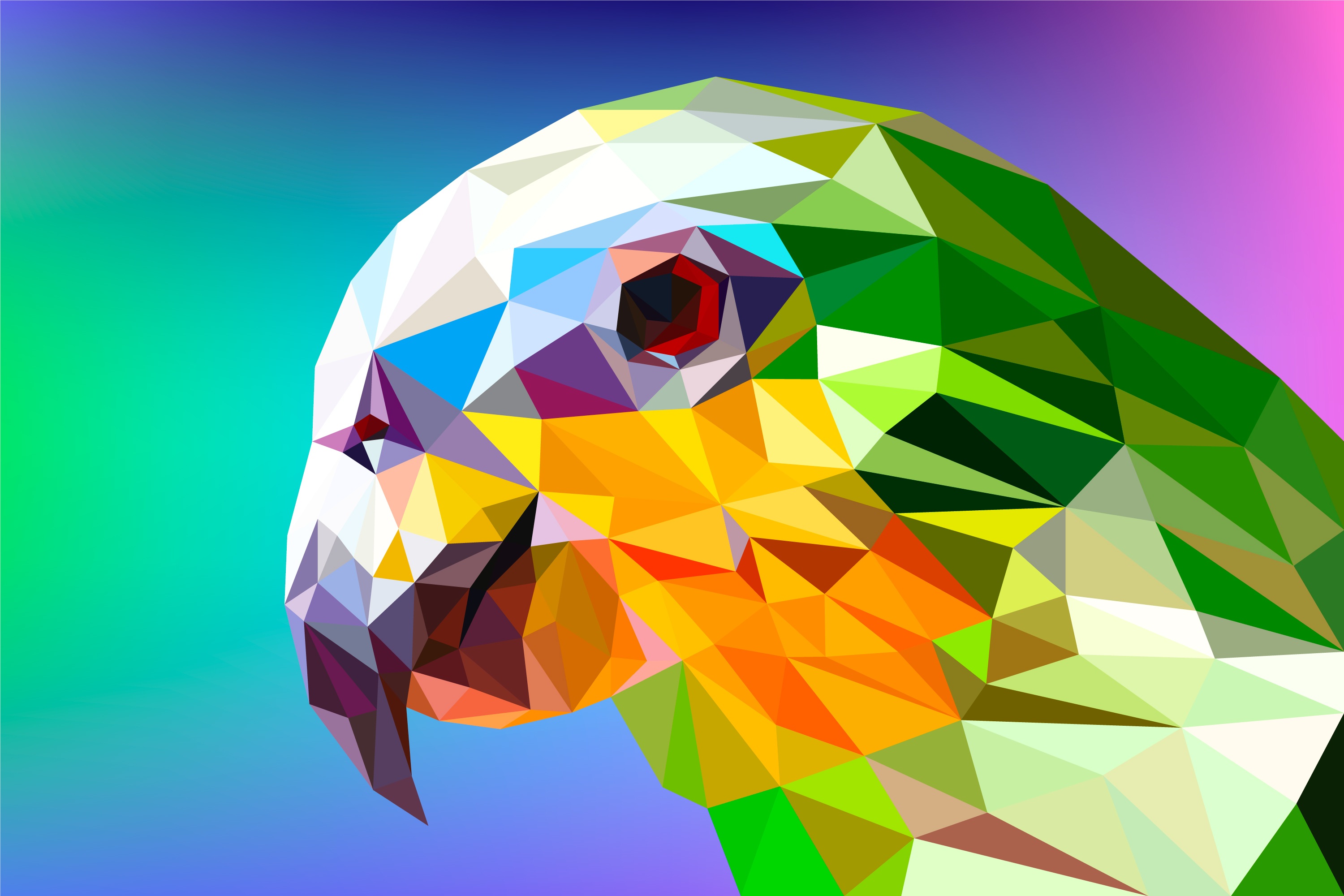 Parrot Polygon Facets, HD Abstract, 4k Wallpapers, Images, Backgrounds ...