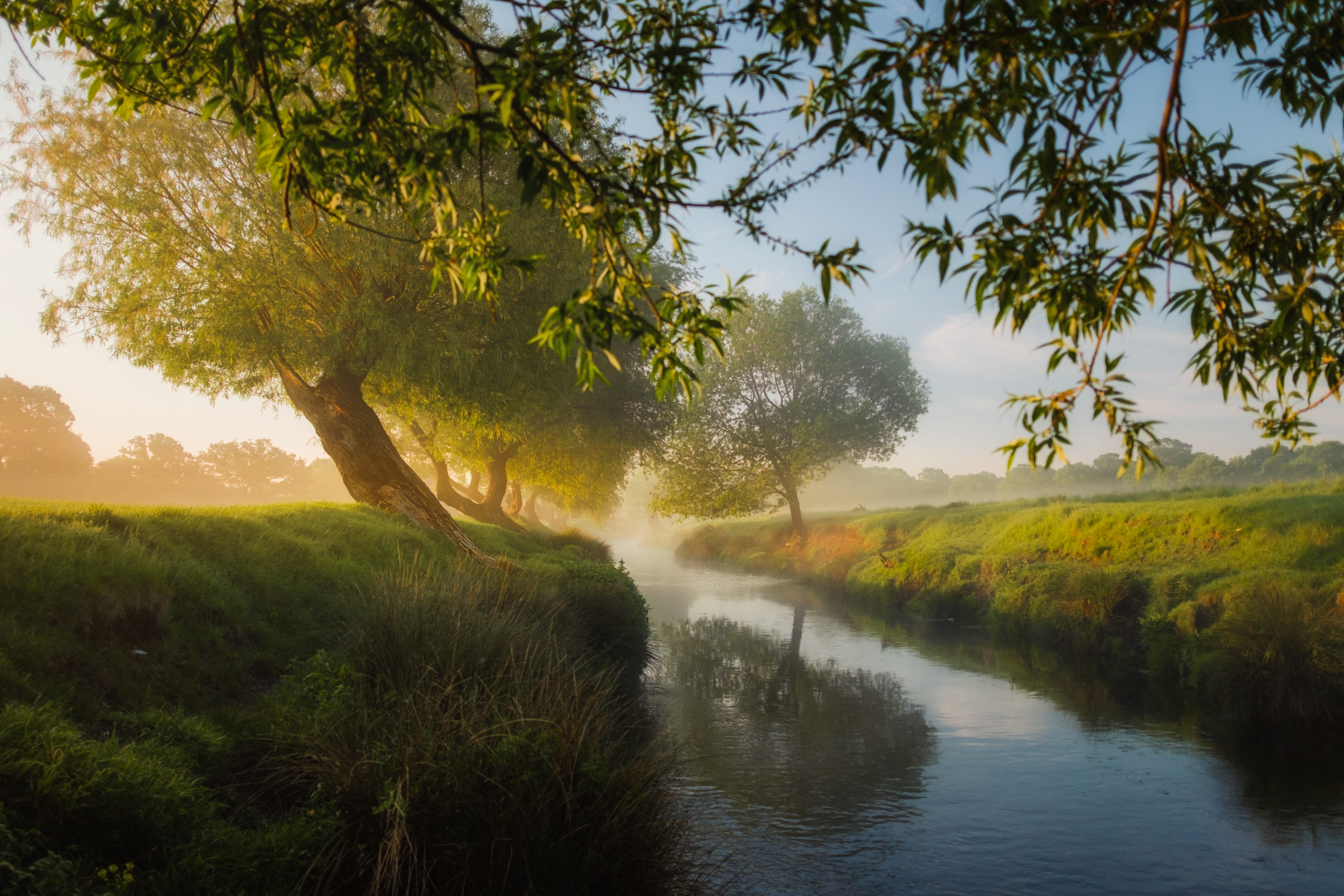 Small River Trees Dreamy, HD Nature, 4k Wallpapers, Images, Backgrounds ...