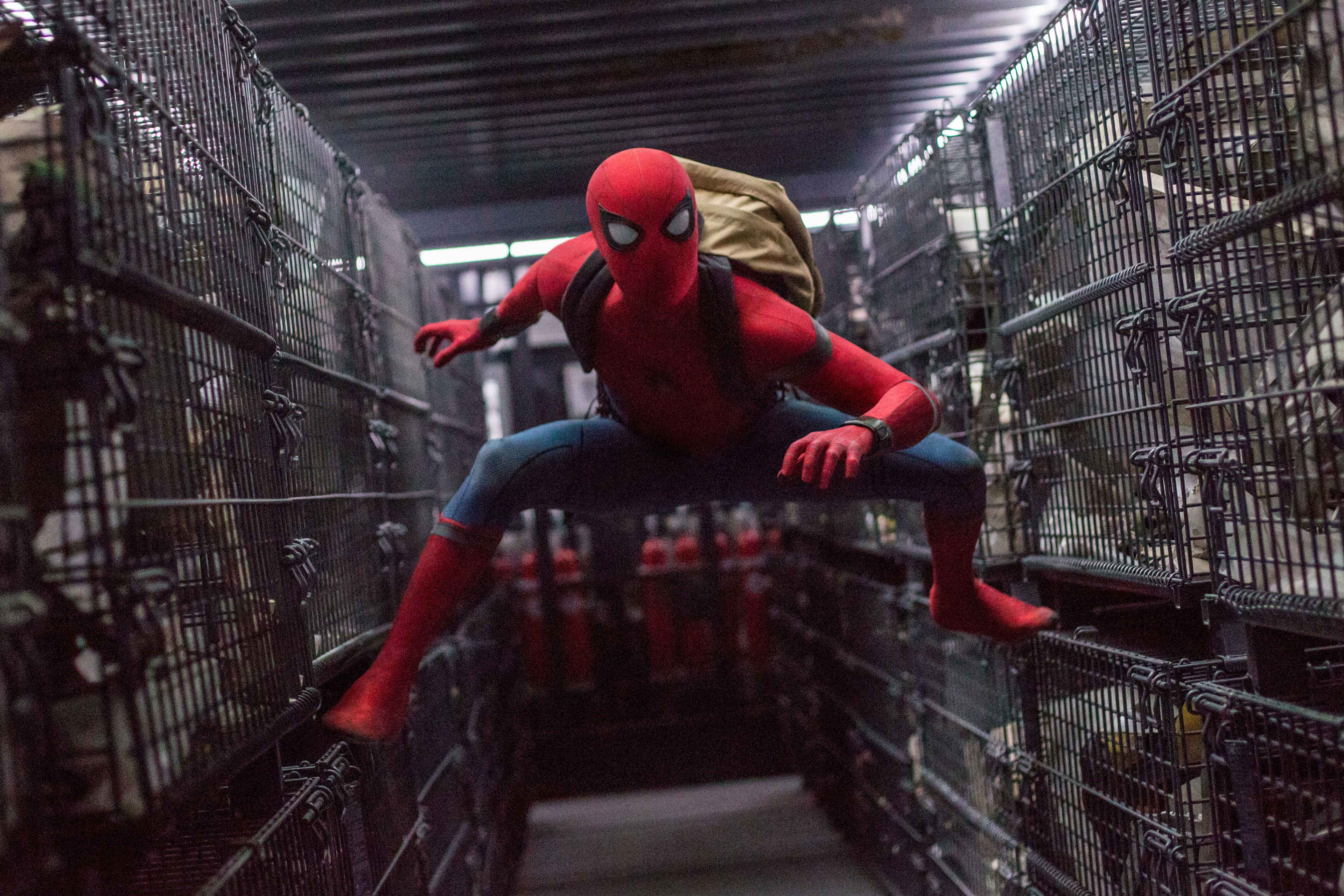 instal the new version for android Spider-Man: Homecoming