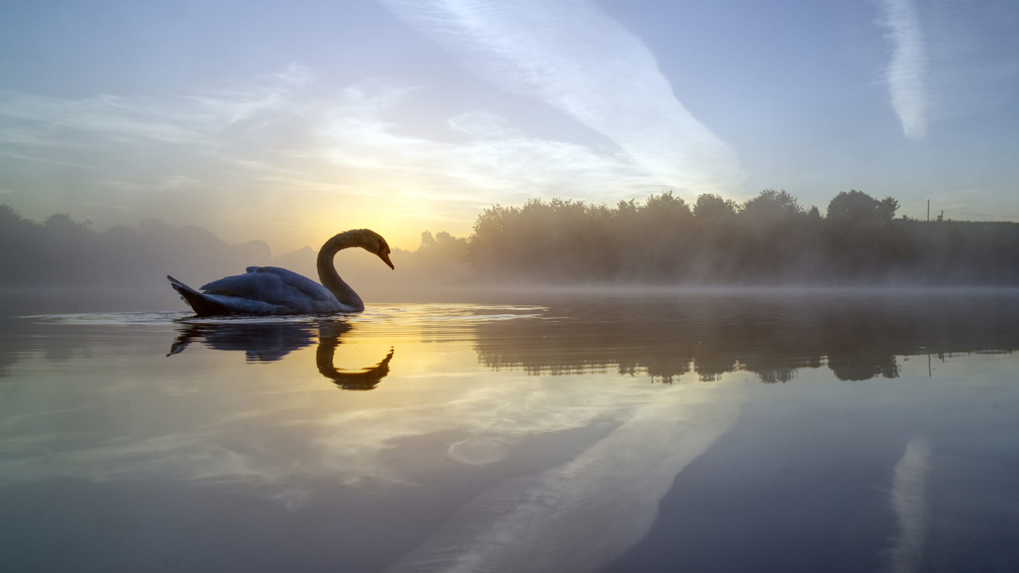 Waterfalls Desktop Wallpaper Beautiful Swan