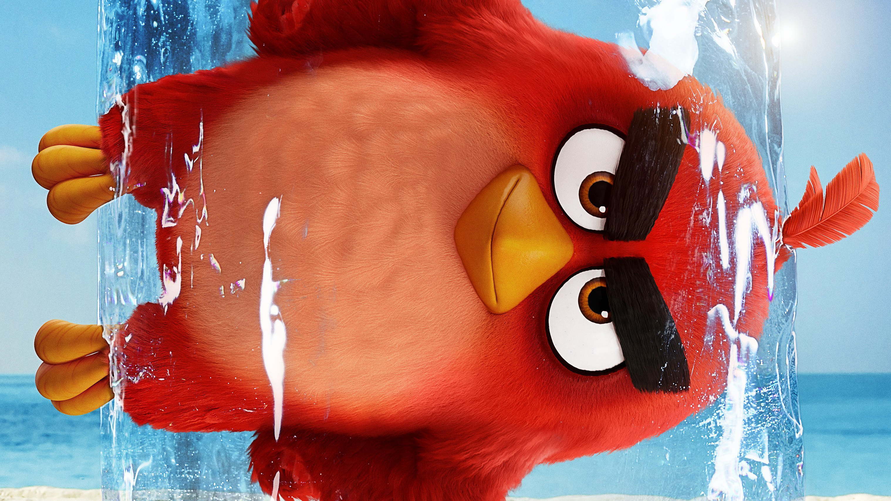 angry birds 2 videos