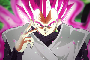 vegeta goku black