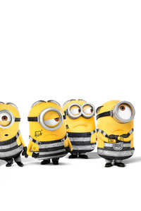 Minions 540x960 Resolution Wallpapers 540x960 Resolution