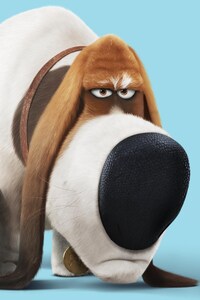 The Secret Life Of Pets 1125x2436 Resolution Wallpapers Iphone Xs